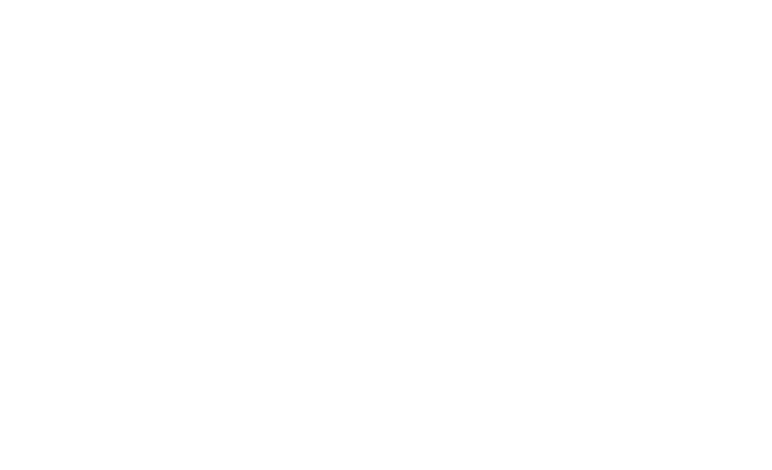 Mt.Tommy